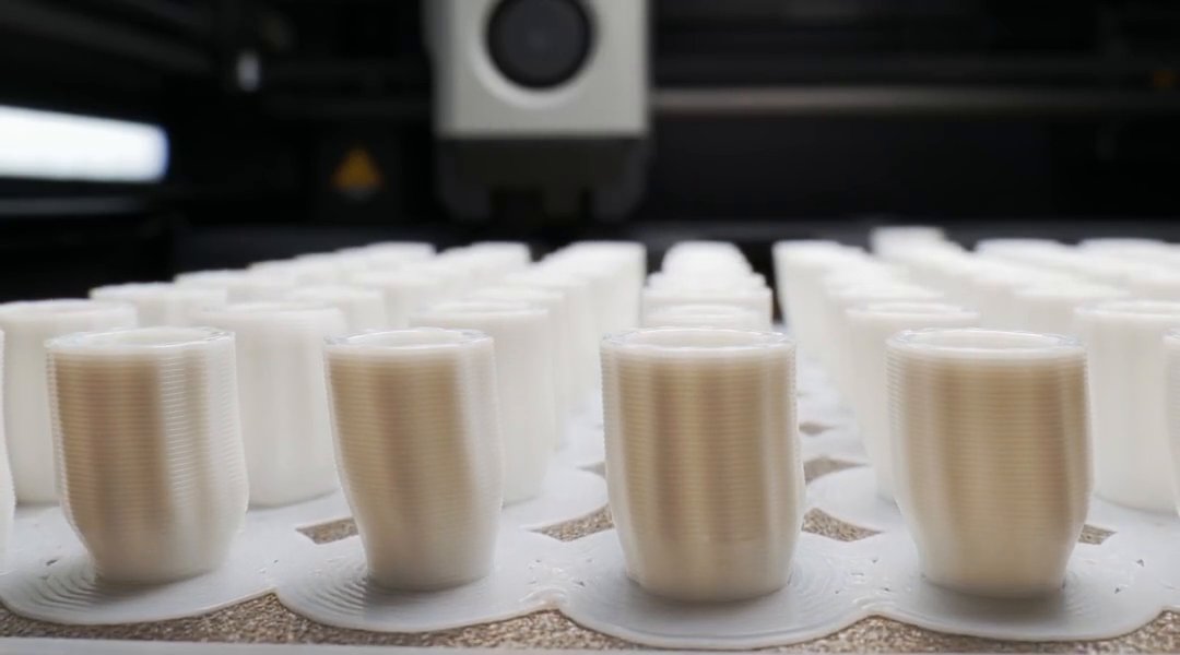 Rows of white petals printing on a textured build plate, each standing on its rim with no supports, their brims touching.