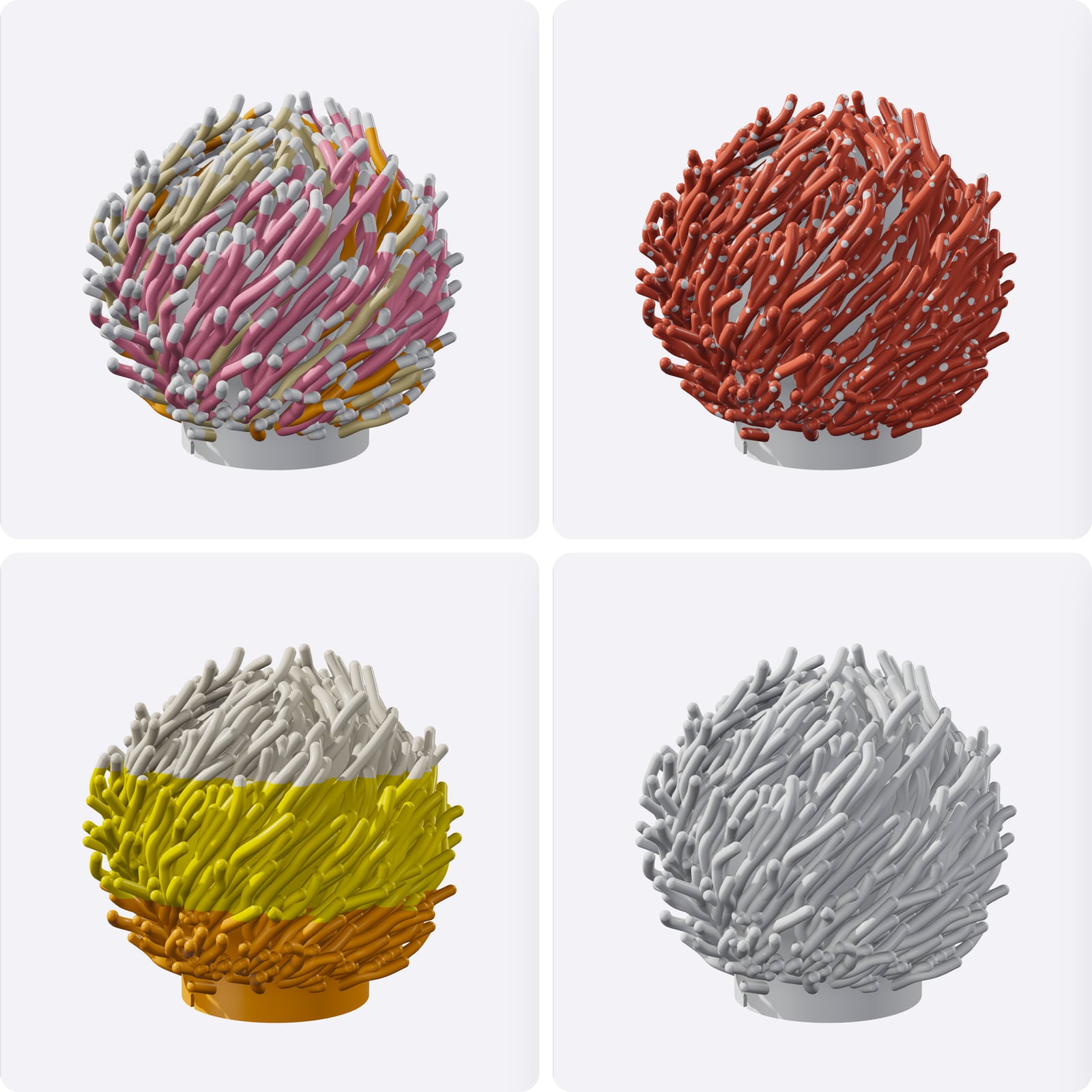 Four renders of the Coral lamp: pink, gold and beige branches; red branches with white dots; yellow and orange stripes; and plain white.