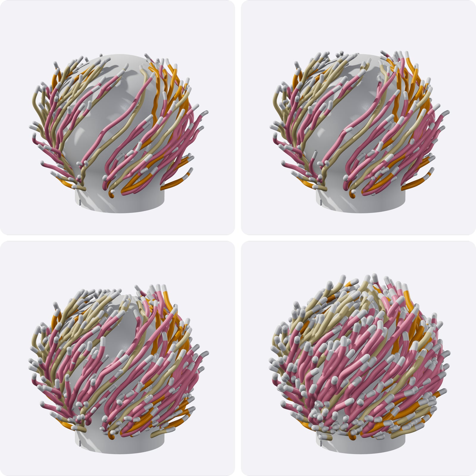 Four renders of the same Coral lamp at months 0, 3, 6 and 12: from a few thin branches over a smooth shell to full grown.