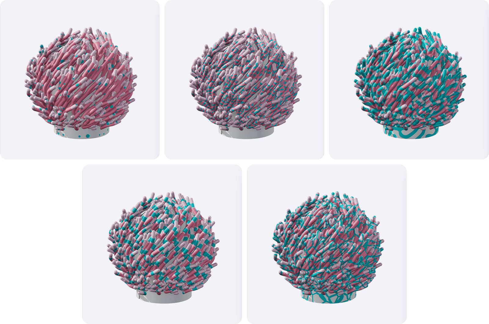 Five renders of the same pink Coral lamp with teal patterns: dots, vines, maze, bands and net.