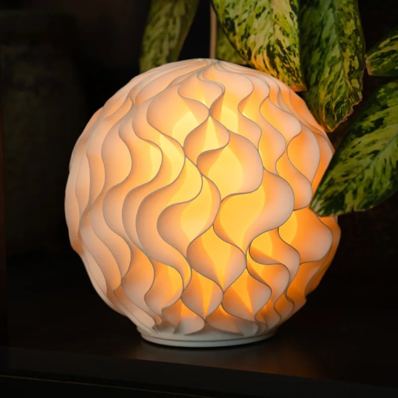 A lit Growth lamp on a dark shelf beside a plant with green and cream leaves.